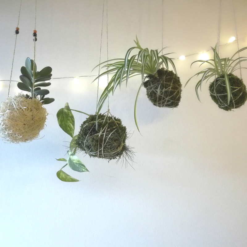 DIY: Kokedama, japonské pěstování na niti