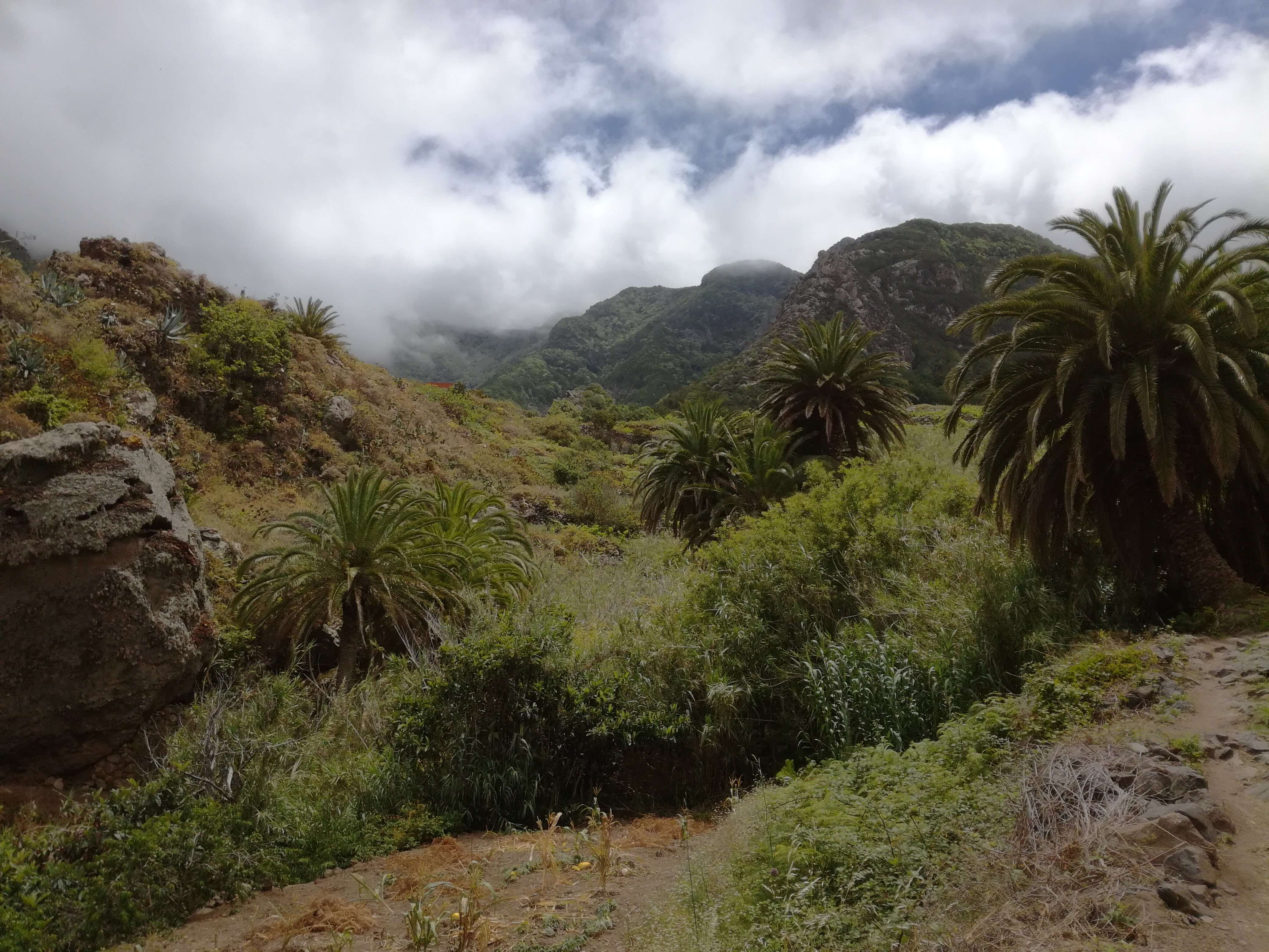 Zelené Tenerife – Národní park Anaga a Vueltas de Taganana