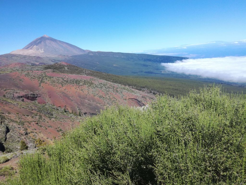 Národní park Teide