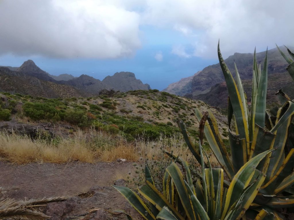 Národní park Teide