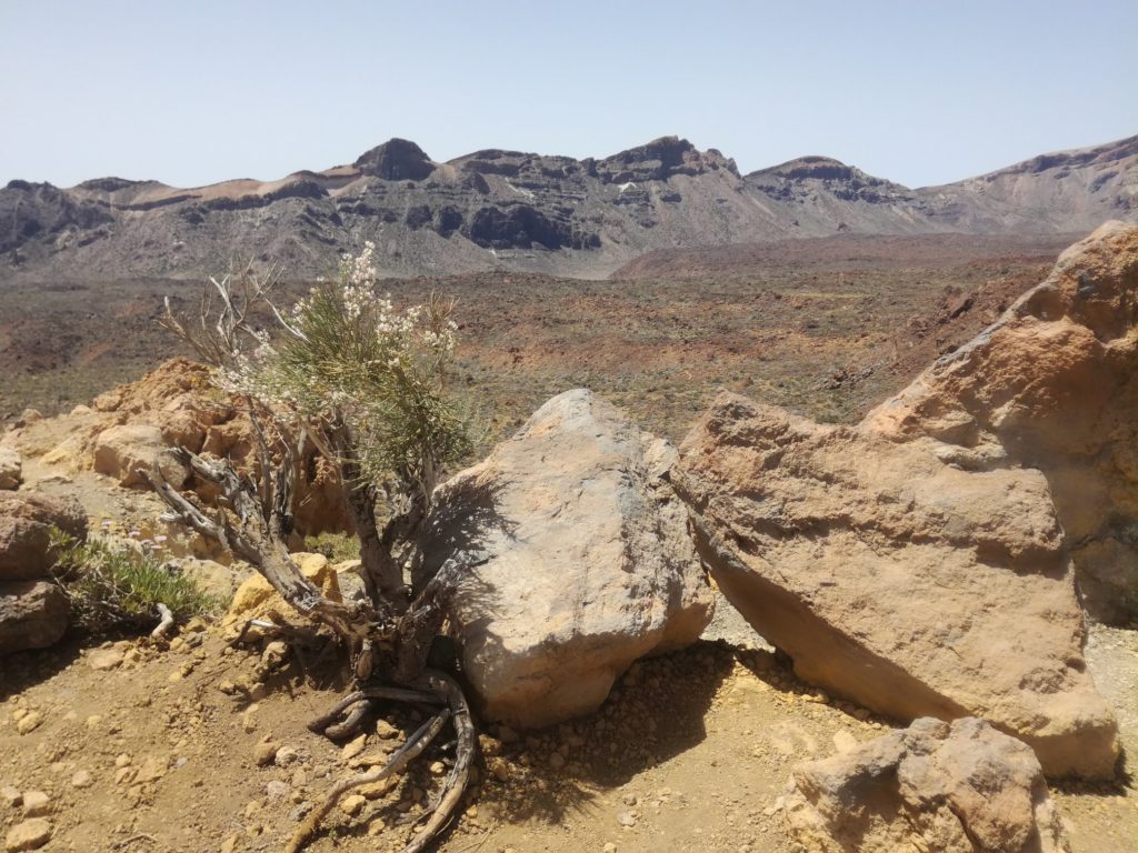 Národní park Teide